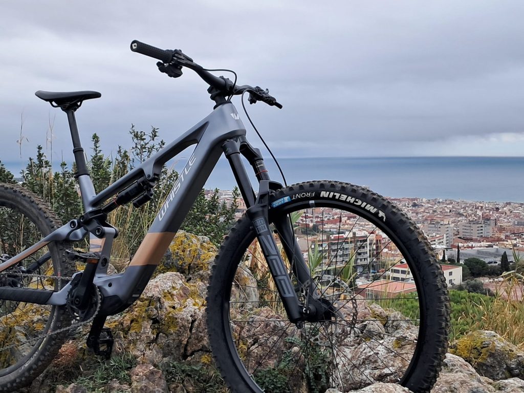 Whistle AXR DJI/Avinox